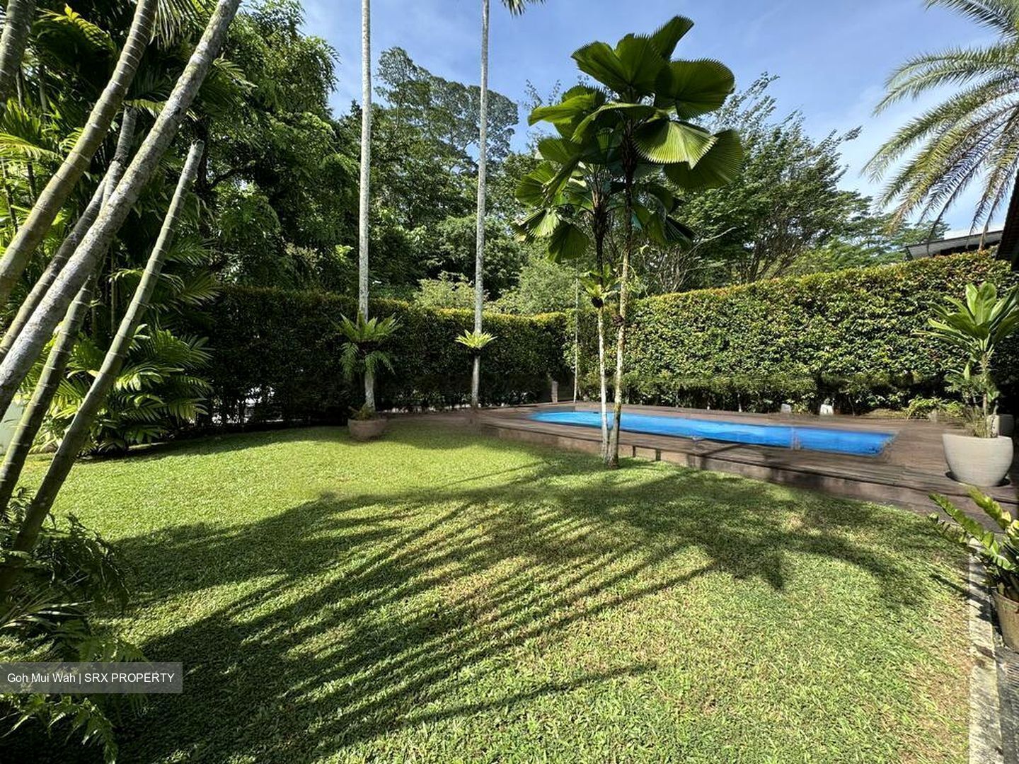 Hillcrest Park (D11), Detached #447615071